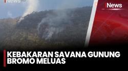 Kebakaran Savana Bromo Meluas Hingga 125 Hektar, Petugas Terkendala Medan Terjal dan Angin Kencang