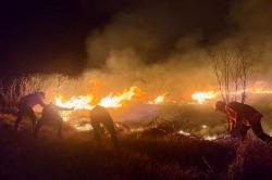 Update Karhutla Gunung Bromo, 176 Ha Lahan Terbakar hingga 2 Helikopter Dikerahkan