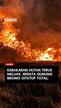 Kebakaran Hutan Terus Meluas, Wisata Bromo Ditutup Total
