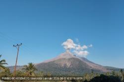 Gunung Lewotobi Laki-Laki Erupsi, Kolom Abu Membubung Setinggi 600 Meter