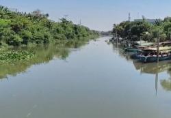 Bikin Resah! Buaya Muara Kerap Ikuti Perahu di Sungai Bluru Kidul Sidoarjo