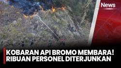 Kebakaran Gunung Bromo Meluas Hingga 921 Hektare, 1.500 Petugas Gabungan dan Helikopter Dikerahkan