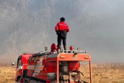 Kemenhut: Kebakaran Bromo Padam, Petugas Fokus Pendinginan