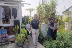 Karawang Geger, Mayat Perempuan Ditemukan Tergeletak di Pinggir Sawah