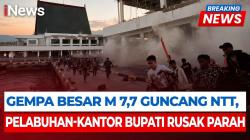 Dampak Gempa M 7,7 NTT, Pelabuhan Maumere hingga Hotel di Labuan Bajo Rusak