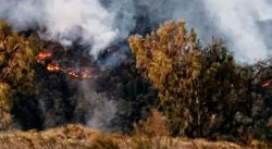Karhutla Landa Gunung Arjuno, Pendaki Dievakuasi dan Jalur Pendakian Ditutup