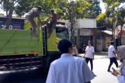 ODGJ Mengamuk Naik Truk Trailer di Jalur Pantura Situbondo, Evakuasi Dramatis