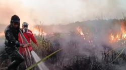 Api Kembali Muncul di Way Kambas, 6 Hektare Lahan Ilalang Terbakar