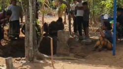 Makam Kuno Ratusan Tahun di Tulungagung Dibongkar, Ada Jejak Majapahit dan Islam