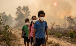 Dampak Kebakaran Hutan, IDAI Keluarkan Rekomendasi Lindungi Anak dari Kabut Asap