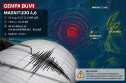 Gempa Hari Ini Magnitudo 4,6 Guncang Halmahera Barat Maluku Utara