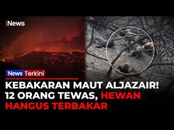  Aljazair Dilanda Kebakaran Hutan Mematikan, 12 Orang Tewas