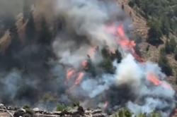Gunung Latimojong Enrekang Terbakar, Titik Api Terlihat di Jalur Puncak Rante Mario