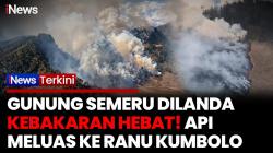 Kebakaran Hutan Meluas di Lereng Semeru, Savana Ranu Kumbolo Terancam Hangus