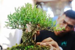 Pameran Flona 2026 Tampilkan Ragam Tanaman dan Hewan di Lapangan Banteng