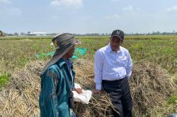 Cegah Kekeringan Sawah di Karawang, Ini Langkah Mentan Amran