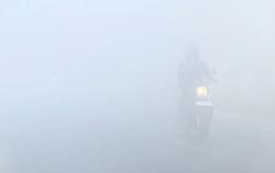 Kabut Asap Karhutla Makin Pekat, 271 Sekolah di Banjar Terapkan PJJ
