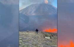 Karhutla Semeru, Relawan Temukan Tulang Belulang Kijang dan Jejak Macan Tutul