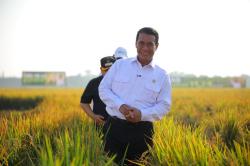 Mentan Amran Siapkan Pompanisasi hingga Benih Tahan Kekeringan untuk Hadapi El Nino
