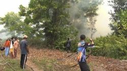Karhutla Dekati Permukiman Warga di Palangka Raya, Petugas Kehabisan Air