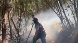 Penyelidikan Penyebab Karhutla Gunung Semeru Terkendala Titik Api Belum Padam