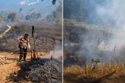 Karhutla di Jember Meluas, Polisi dan Warga Naik Bukit Putus Jalur Api