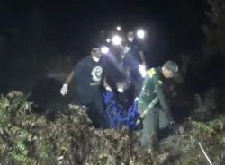 Dramatis! BKSDA Evakuasi Induk dan Bayi Orangutan yang Terjebak Karhutla di Sampit