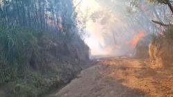 Karhutla Melanda Kawah Ijen, Api Merambat hingga Dekati Jalur Pendakian