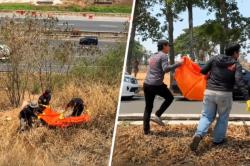 Kerangka di Pinggir Tol Jangli Ditemukan Terbungkus Karung, Diduga Mozza Axillia Gunarsa
