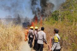 Karhutla di Mamasa Sulbar Hanguskan 5 Ha Lahan, Petugas Berjibaku Padamkan Api