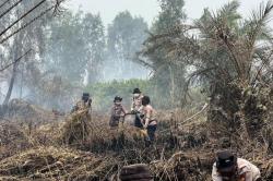Karhutla Riau Makin Serius, 45 Kasus Diproses Hukum dan 49 Orang Jadi Tersangka