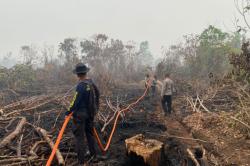 Karhutla Singkawang Masuki Hari ke-18, Tim Gabungan Kendalikan Kebakaran Lahan Gambut