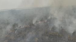 Hari Ketiga Kebakaran Gunung Ciremai, 40 Hektare Hutan Terbakar