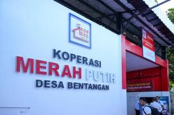 Pemerintah Bentuk Satgas Kopdes Merah Putih, Optimalkan Penyaluran Barang Subsidi