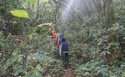 Nekat Daki Gunung Semeru saat Karhutla, 7 Pendaki Ilegal Terancam 5 Tahun Bui