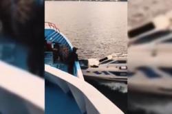 Terekam Video! Speedboat Mutiara Tabrak KM Obi Permai di Perairan Halmahera Selatan