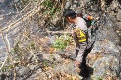 Kebakaran Lahan di Bolmong Utara Hanguskan 20 Hektare Perkebunan, Api Berhasil Dipadamkan