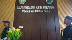Geledah Kantor Gakkum KLHK, Kejati Papua Barat Usut Dugaan Korupsi Anggaran Rp50 Miliar
