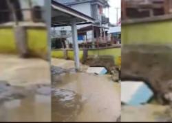 Banjir Bandang Terjang Pasaman, 1 Orang Hilang 17 Rumah Terendam