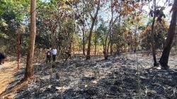 Tragis! Bakar Ranting dan Dahan Kering di Lahan, Lansia di Cirebon Tewas Dilalap Api