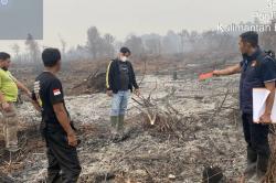 Viral Dugaan Pembakaran Lahan Libatkan Oknum Anggota DPRD Mempawah, Polisi Bergerak