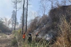 Karhutla Landa Gunung Merapi, 59 Ha Lahan Hangus