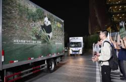2 Panda Raksasa Tiba di Atlanta usai Pertemuan Trump-Xi Jinping