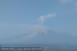 Gunung Semeru Meletus Pagi Ini, Muntahkan Abu Tebal Setinggi 1 Km