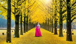 Liburan di Korea Selatan: Menikmati Pesona Musim Gugur di Seoul dan Busan