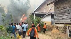 Karhutla di Mamasa Merembet ke Permukiman Bikin Warga Panik, Gereja dan Rumah Nyaris Terbakar