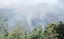 Kebakaran Hutan Landa TNBTS Lumajang, Petugas Kesulitan Padamkan Api