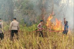 Kebakaran Lahan Terbakar di Halmahera Timur, Brimob Gerak Cepat Padamkan Api