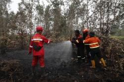 Serbuk asal Brasil buat Padamkan Karhutla Diuji di Sumsel, Diklaim 10 Kali Lebih Efektif Dibanding Air