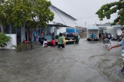 BPBD: Banjir Padang Rendam 120 Rumah, 498 Jiwa Terdampak
